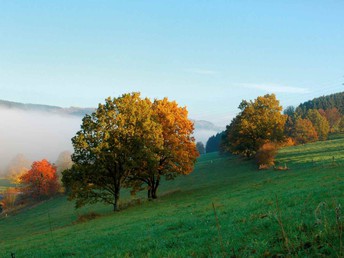 Weihnachten oder Silvester im Sauerland Nähe Winterberg inkl. Buffet | 7 Nächte   