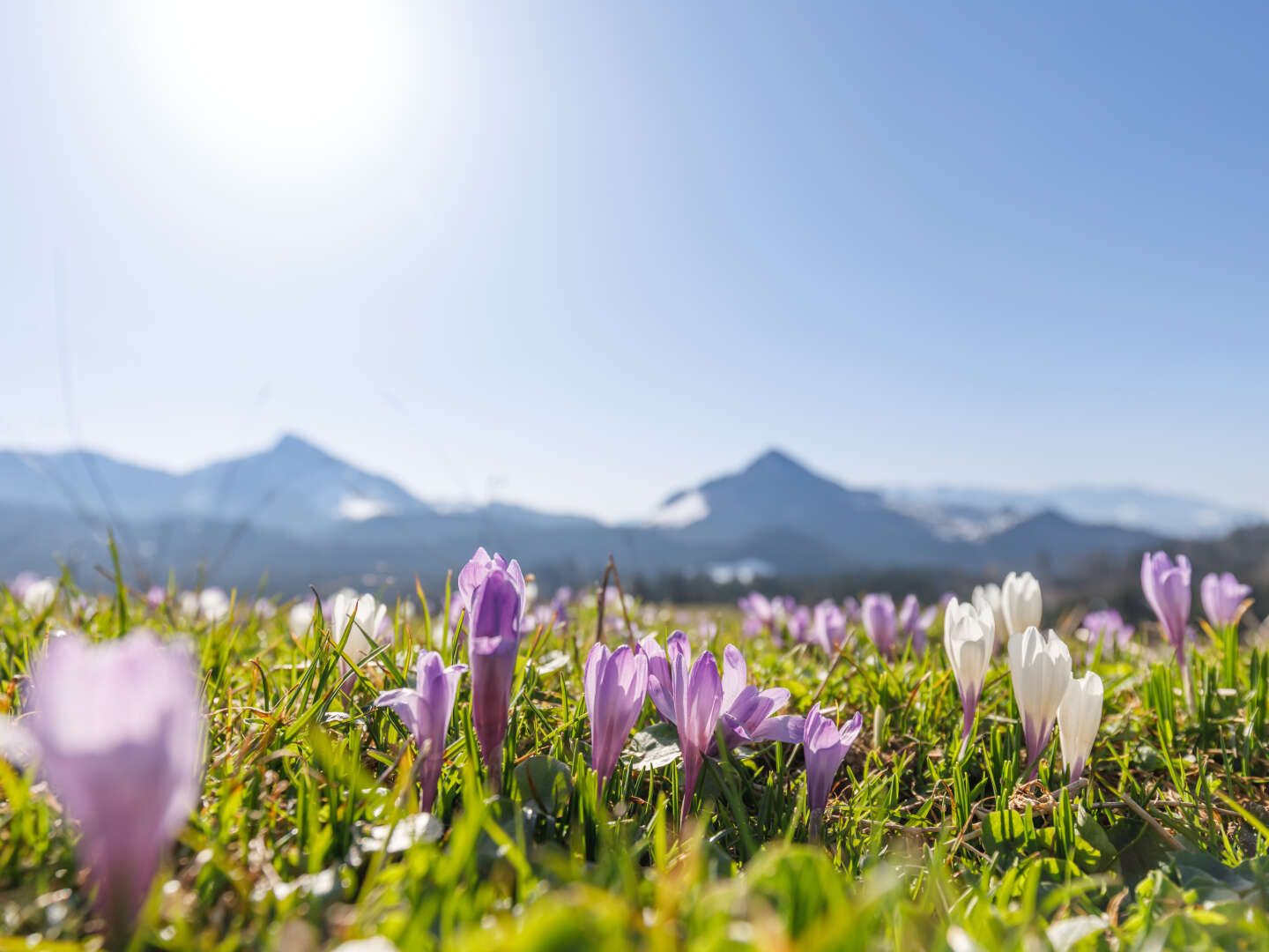 Kleine Auszeit im Sauerland 5 Tage inkl. Halbpension