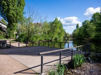 Wandern und Radeln am Rhein - Strassburg