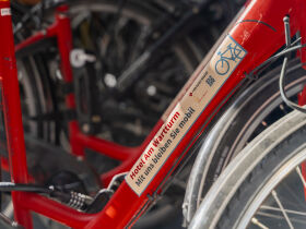 Romantische Liebelei in der Pfalz - One Night in Speyer inkl. Abendessen