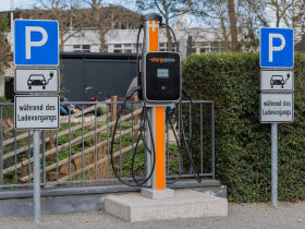 Romantische Liebelei in der Pfalz - One Night in Speyer inkl. Abendessen