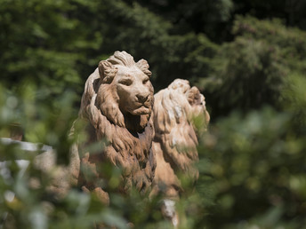 Schloß-Knaller 3 Tage auf der Sonneninsel Usedom