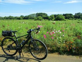 Weihnachten an der Mecklenburgischen Seenplatte