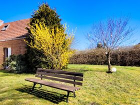 Weihnachten an der Mecklenburgischen Seenplatte