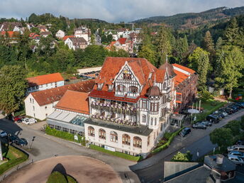 Aktiv im Harz