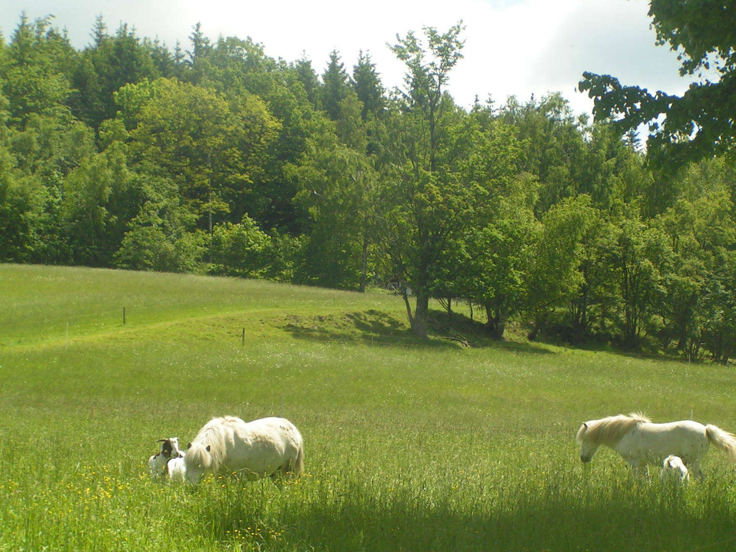 Winterzauber - Entspannung im  Gebirge