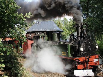  Dampfeisenbahnromantik im Zittauer Gebirge