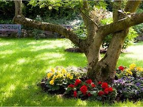 Silvester mit live-Musik in der Großherzoglichen Orangerie Neustrelitz 2