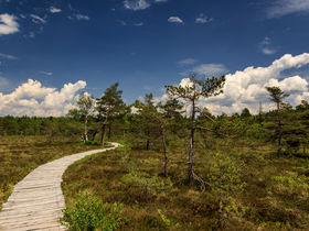 Adventszauber in der Bayerischen Rhön – zu Gast im Hotel Ursula