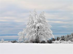 Adventszauber in der Bayerischen Rhön – zu Gast im Hotel Ursula