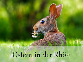 Ostern in der bayerischen Rhön - Frühlingsauszeit im Hotel Ursula