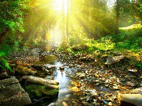 Kurztrip nach Meschede im Sauerland | 3 Tage***