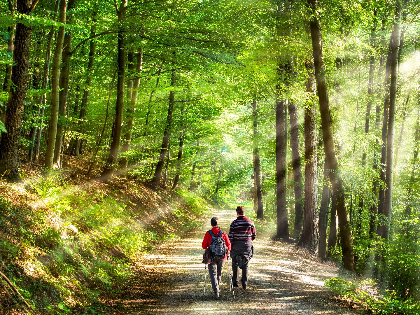 Kurztrip nach Meschede im Sauerland | 2 Tage*** 