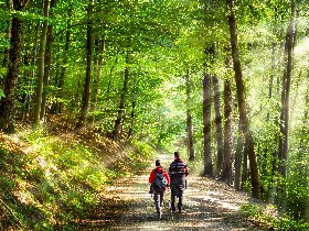 Kurztrip nach Meschede im Sauerland | 3 Tage***