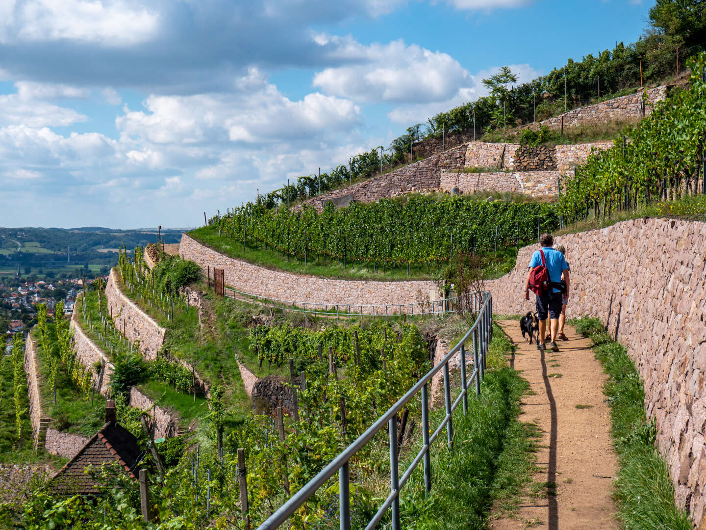 Meißen-Puzzle - 3 Tage Kurzurlaub