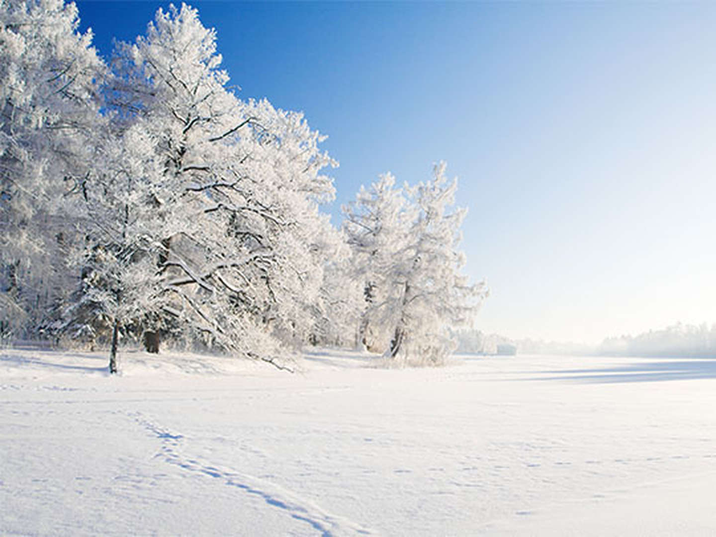 Winterspecial in Görlitz - 2 Tage