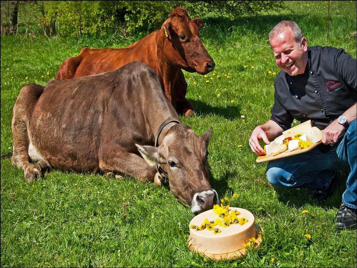 7 Nächte - Eifel Traum inkl. HP, Snackbuffet & Wellnessgutschein  