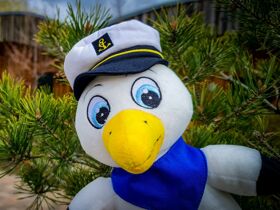 Auszeit für die SEEle | 3 Tage im LAGOVIDA Ferienresort am Störmthaler See