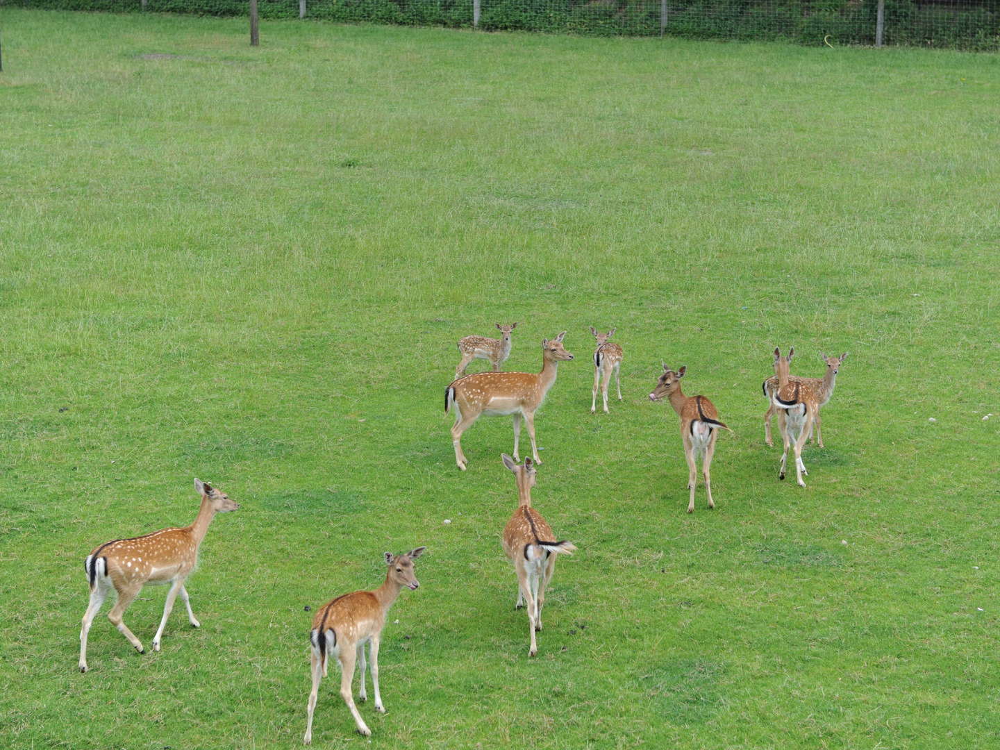 Wanderbares Töddenland - Kultur im Münsterland