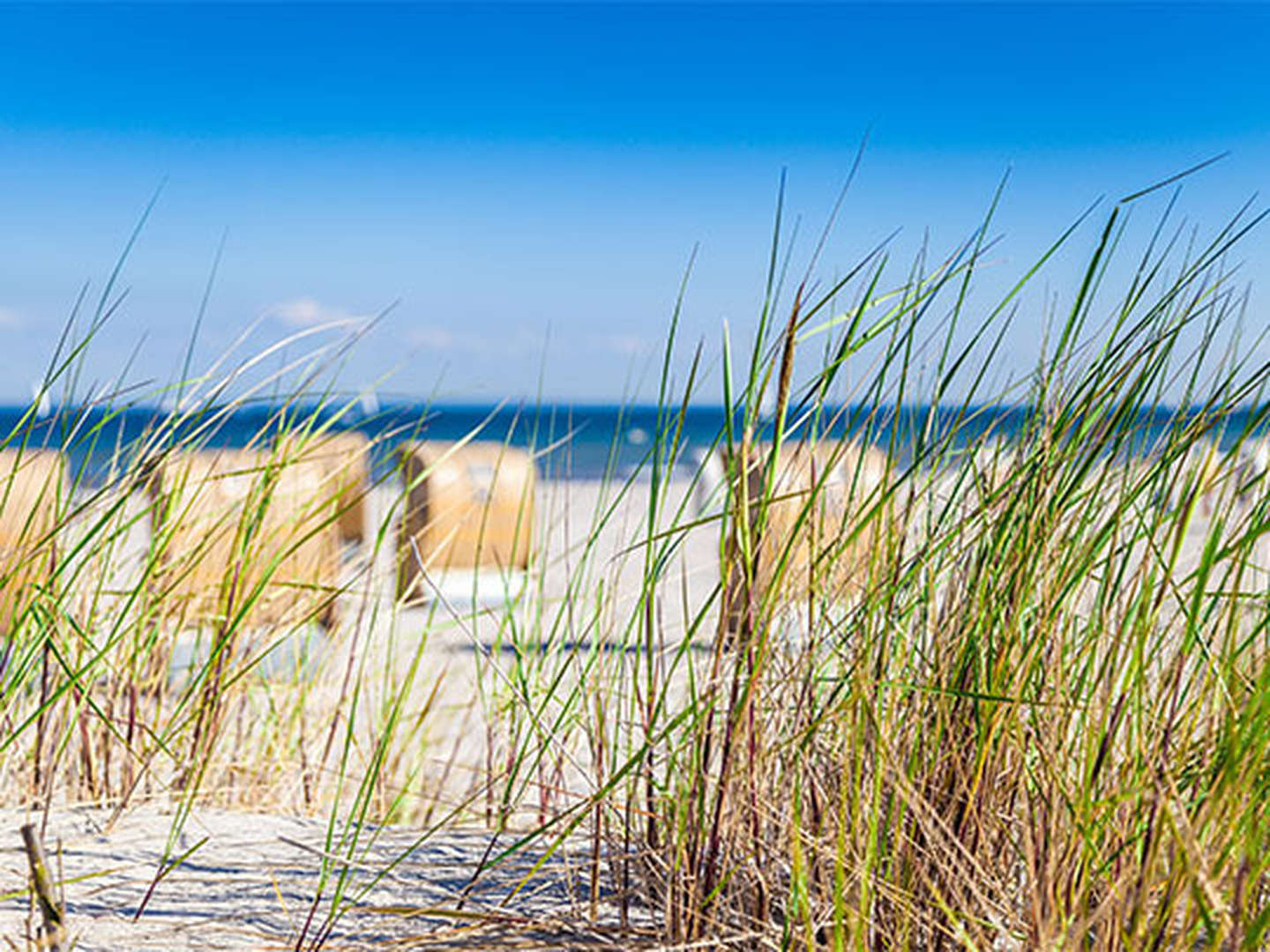 2 Nächte in Rerik an der Ostsee 