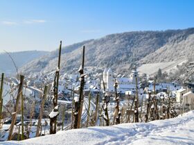  3 Tage Adventszauber an der Mosel inkl. 5 Gang Menü
