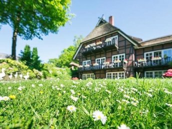 Frühlingserwachen in der Lüneburger Heide für 4 Tage