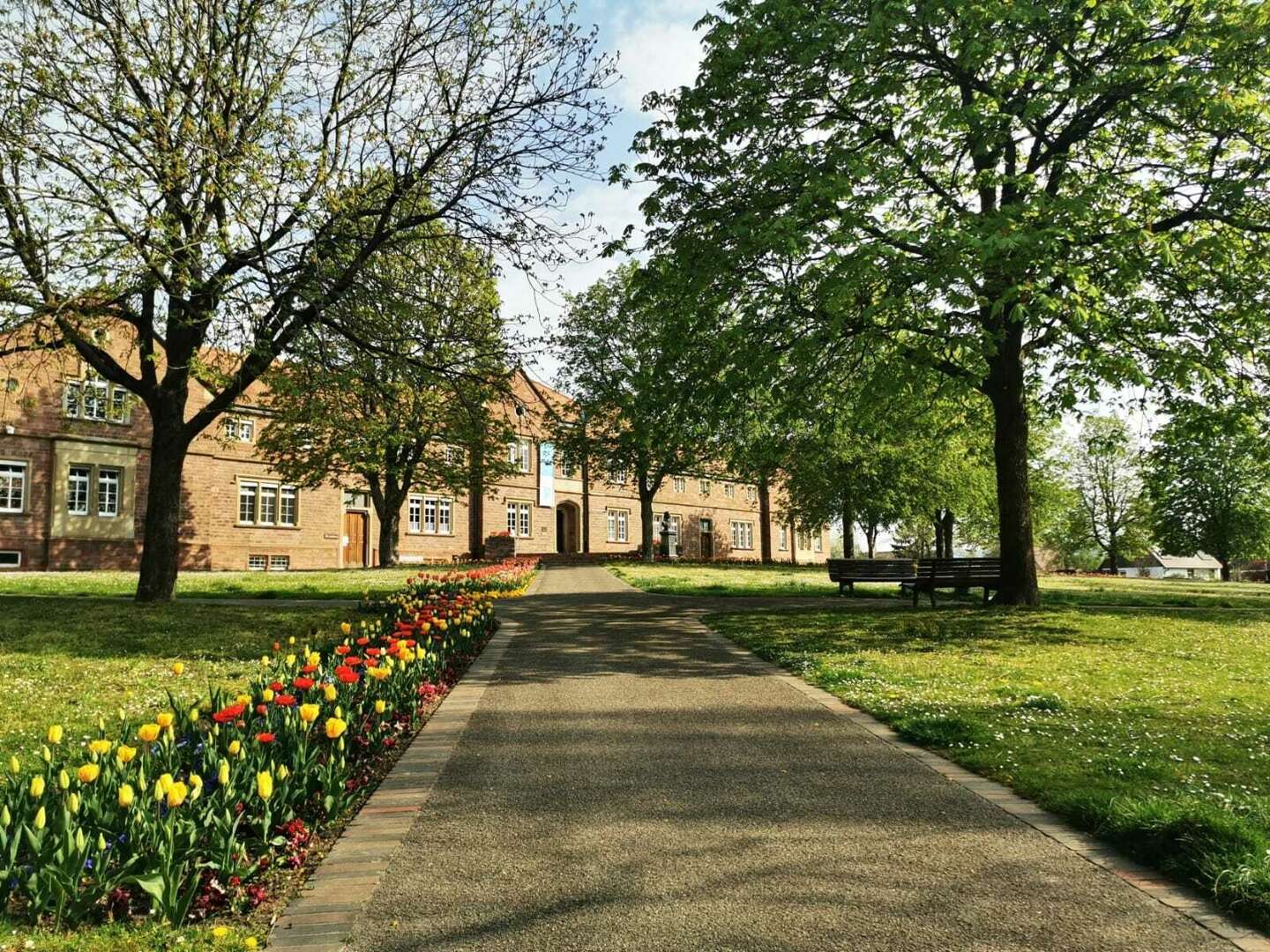 Walldorf erleben - Ein vielseitiger Urlaub wartet auf Sie - 8 Tage