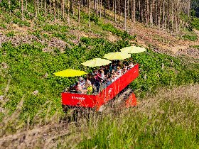 3 Nächte 2 Herzen - Romantische Momente im Schwarzatal