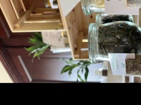 3 Nächte 2 Herzen - Romantische Momente im Schwarzatal