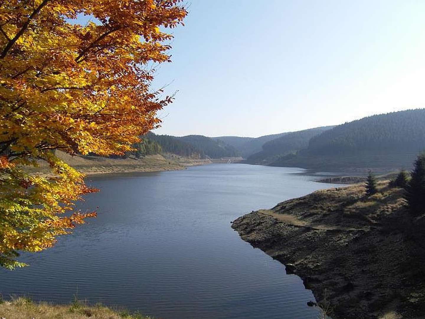 5 Tage Wander Wellness - Entspannung für Körper und Geist im Thüringer Wald