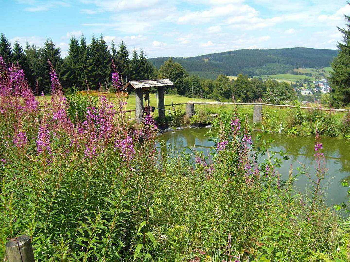 5 Tage Wander Wellness - Entspannung für Körper und Geist im Thüringer Wald