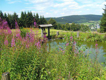 5 Tage Wander Wellness - Entspannung für Körper und Geist im Thüringer Wald