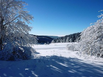 5 Tage Wander Wellness - Entspannung für Körper und Geist im Thüringer Wald
