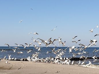 Silvester auf Usedom/ 7 Nächte 