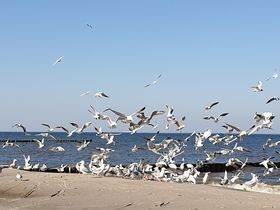Herbstzauber auf Usedom - 2 Nächte