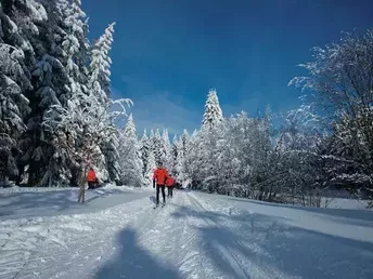 Neujahrsschnäppchen 4 Tage - Den Winter im Vogtland erleben!  inkl. Halbpension 