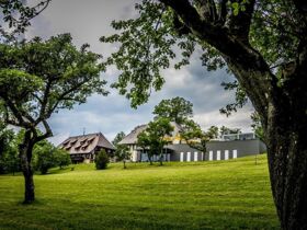 Endlich wieder Hohenkarpfen - Romantik in der Bodensee-Region