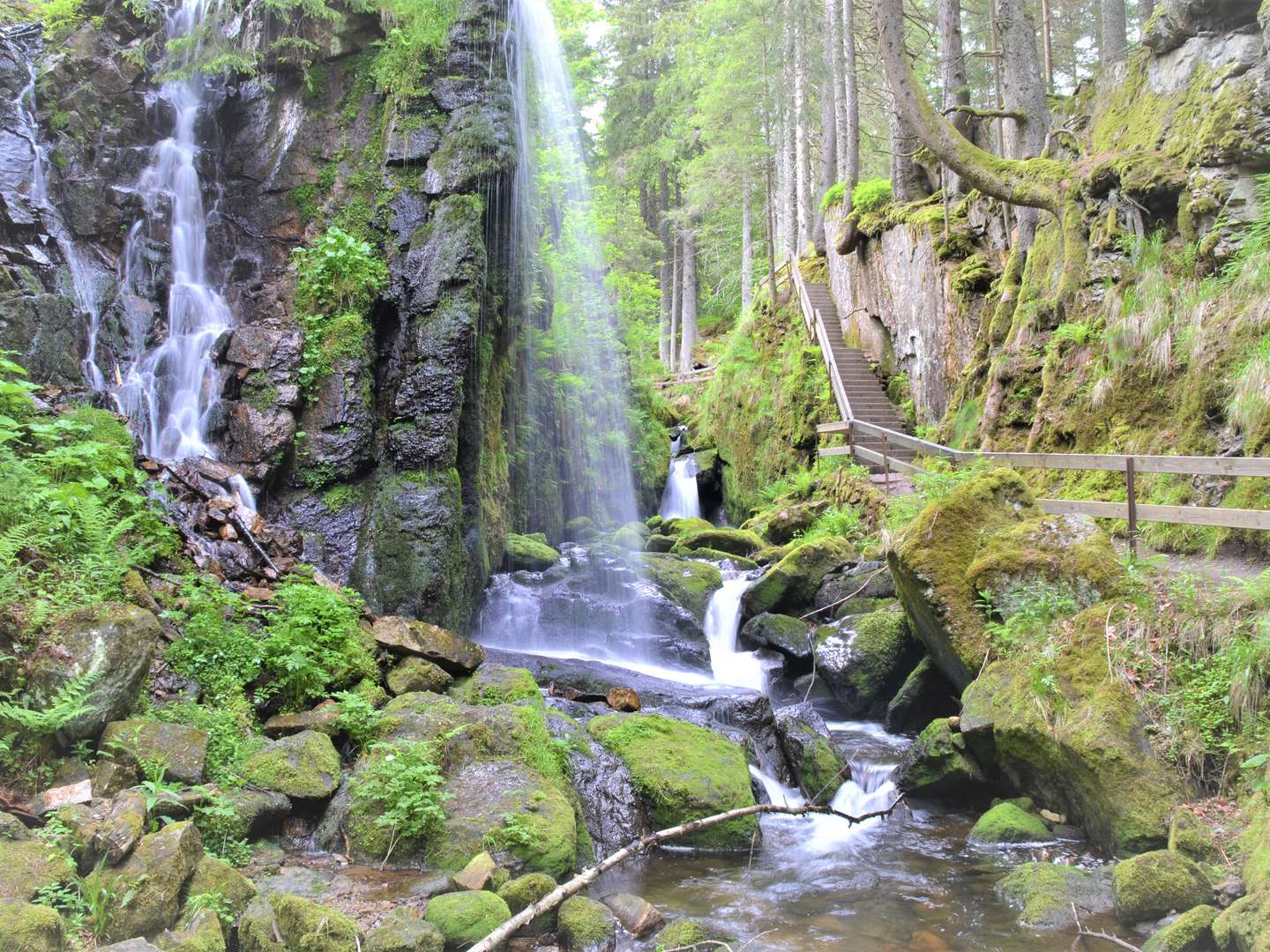 Kuschelstunden zu Zweit im romantischen Schwarzwald - 5 Tage mit Therme & Candle Light Diner