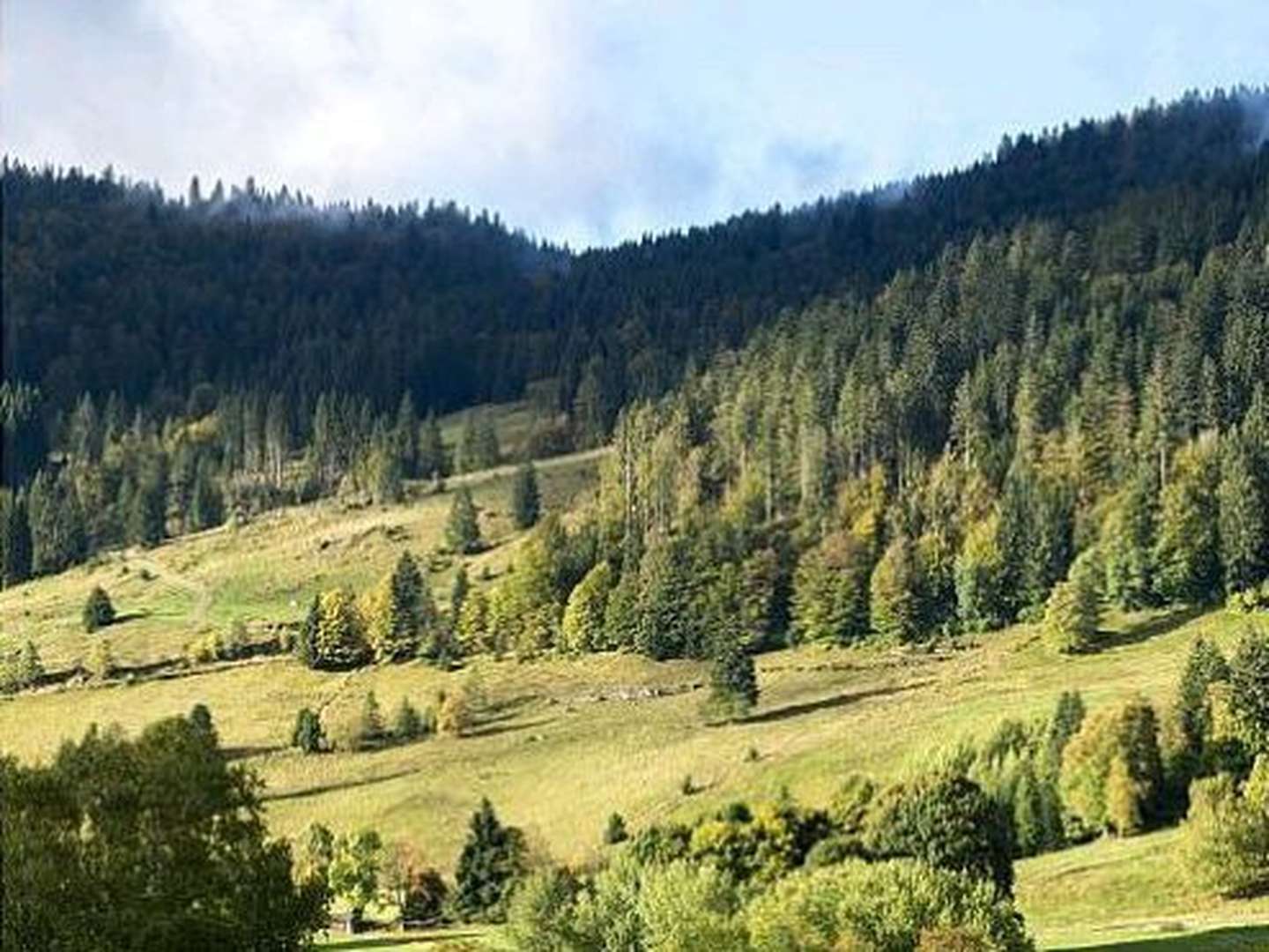 Kuschelstunden zu Zweit im romantischen Schwarzwald - 3 Tage mit Candle Light Diner