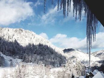 5 Tage Am Fuß des Feldberg   