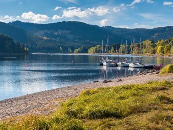 Kuschelstunden zu Zweit im romantischen Schwarzwald - 2 Tage mit Candle Light Diner