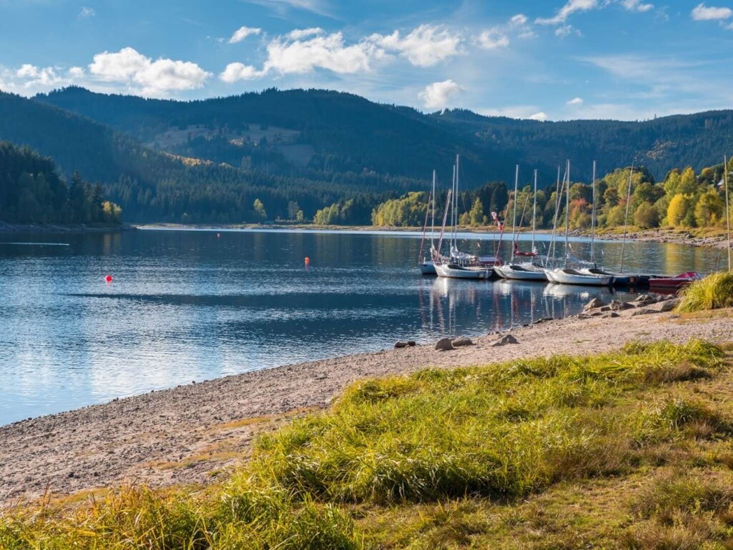 5 Tage Am Fuß des Feldberg   