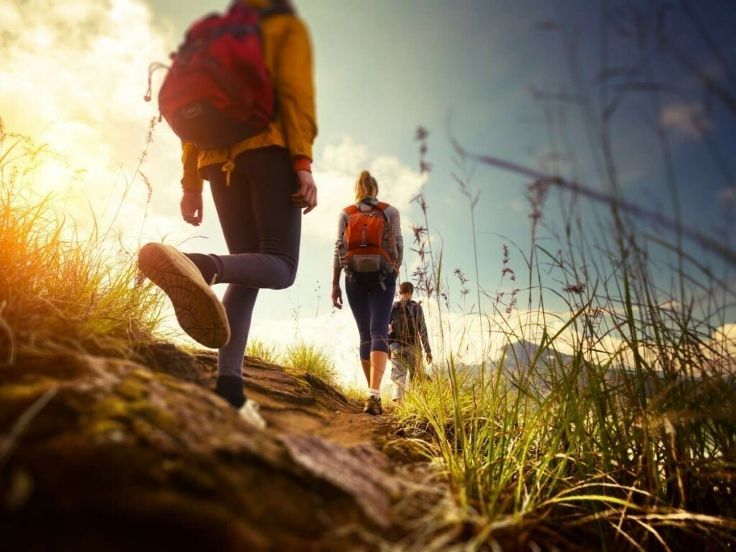 4 Tage Wandern im Schwarzwald   