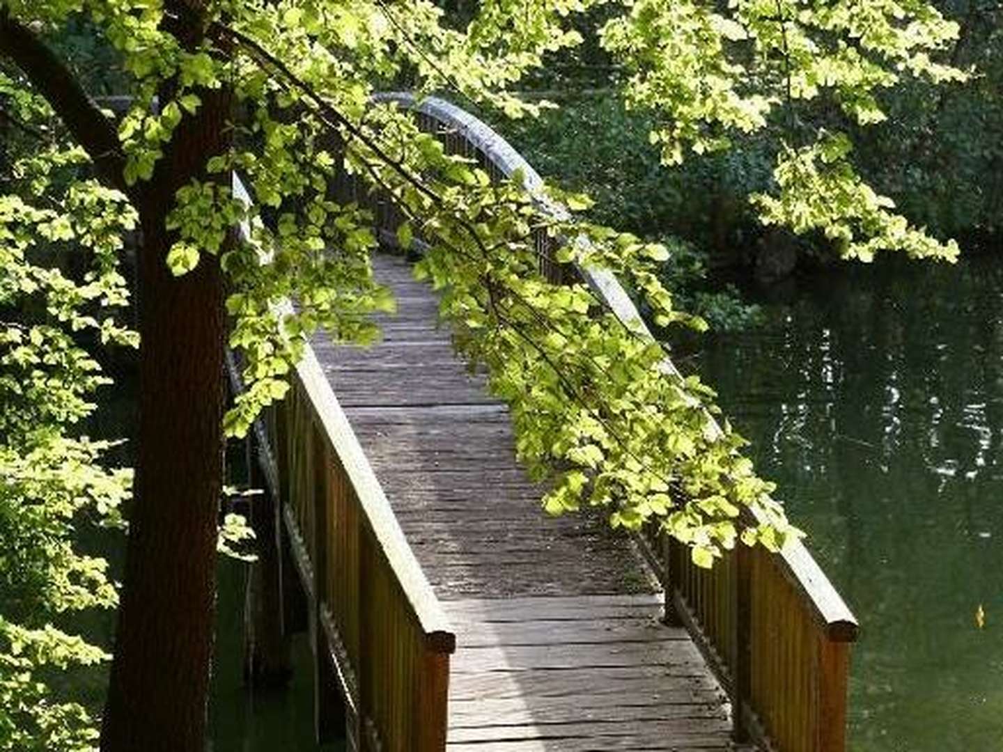 Kulinarische Auszeit in Mölln inkl. Abendessen mit herrlichem Blick auf den Schmalsee