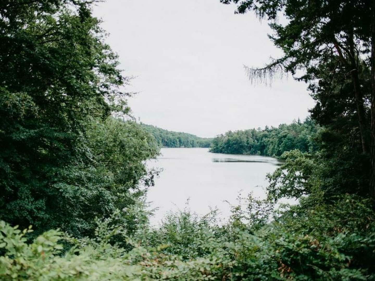 Kulinarische Auszeit in Mölln inkl. Abendessen mit herrlichem Blick auf den Schmalsee