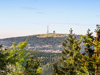 Auszeit in Halberstadt -  4 entspannte Tage am Tor zum Harz 