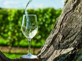 Genussvoll Rheinhessen entdecken - 3 Tage Alzey