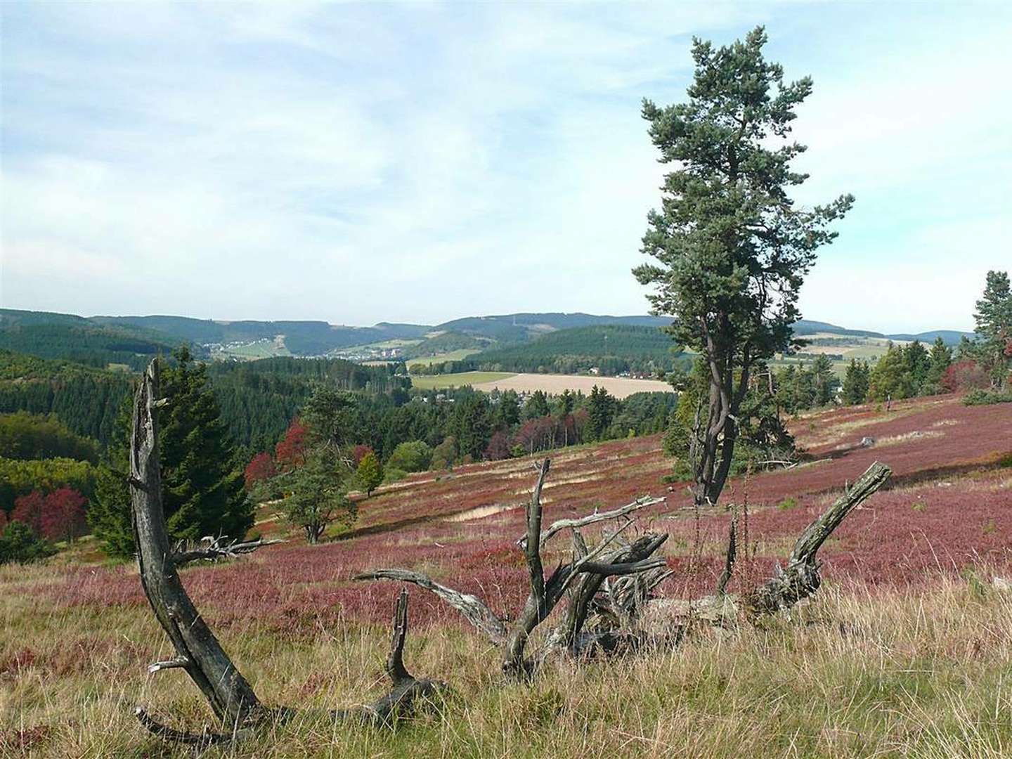 4 Tage Auszeit im Sauerland inkl. 1 x Verwöhn-Halbpension 