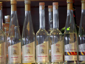 Wanderurlaub im Schwarzwald | 7 Tage