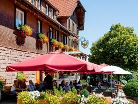 Wanderurlaub im Schwarzwald | 7 Tage